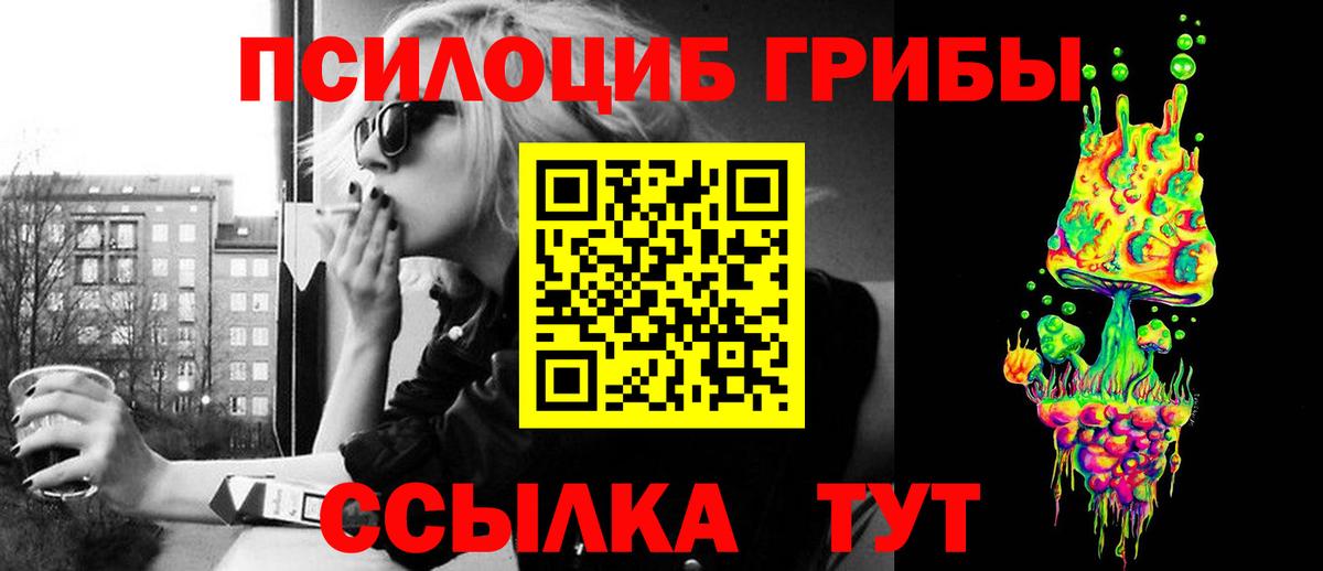 Псилоцибиновые грибы Липецк