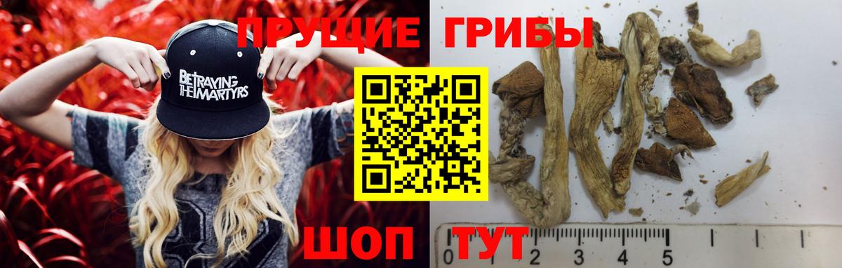 Липецк  Галлюциногенные грибы мицелий  Вход с VPN  Галлюциногенные грибы прущие грибы 